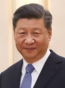 Xi Jinping's dictatorial government